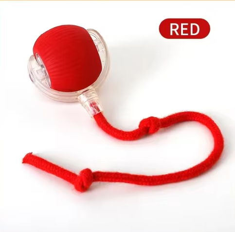 Interactive cat toy for daily indoor play - image 7