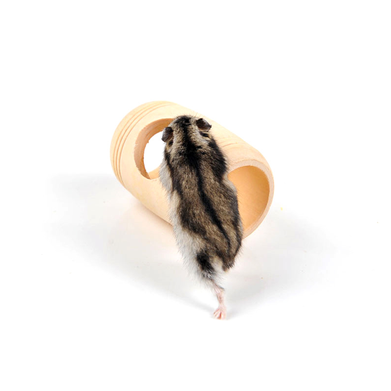 Wooden Hamster Toy House with Barrel Tunnel for hamsters from Burrowly small pet supplies.