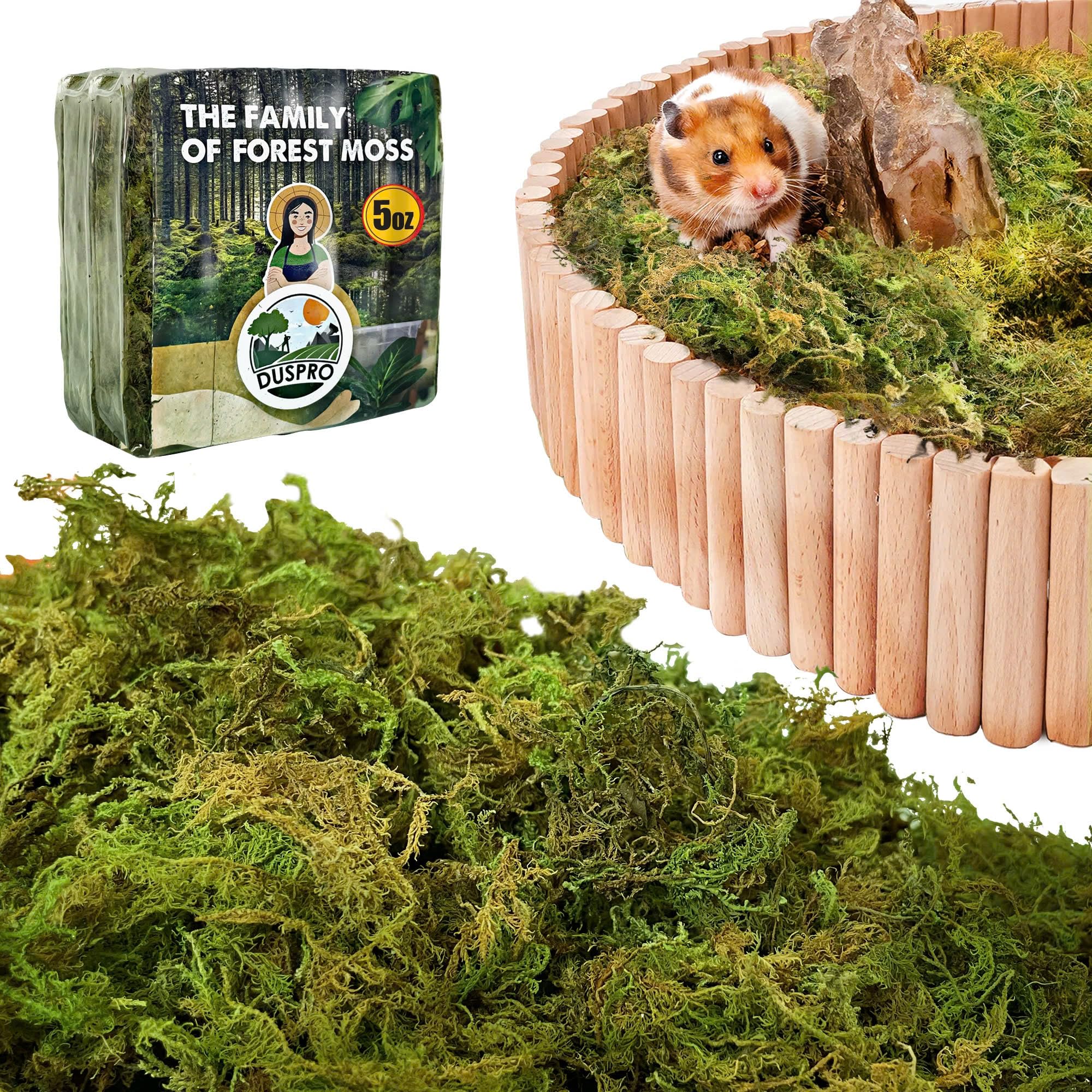 Natural Forest Moss Hamster Bedding & Habitat Decor - 5 oz