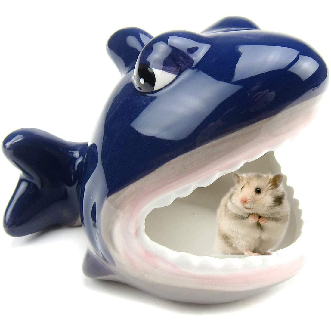 Ceramic Shark Hideout and Sand Bath for Hamsters for hamsters, rats and mice, chinchillas from Burrowly small pet suppli