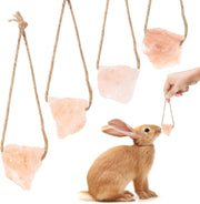 Himalayan Salt Lick Chew Blocks for Rabbits & Guinea Pigs - 2 Pack for guinea pigs and rabbits from Burrowly.