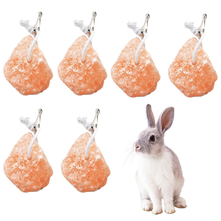 Himalayan Salt Lick Blocks for Small Pets - 6 Pack for small pets, selected by Burrowly for chewing and enrichment.
