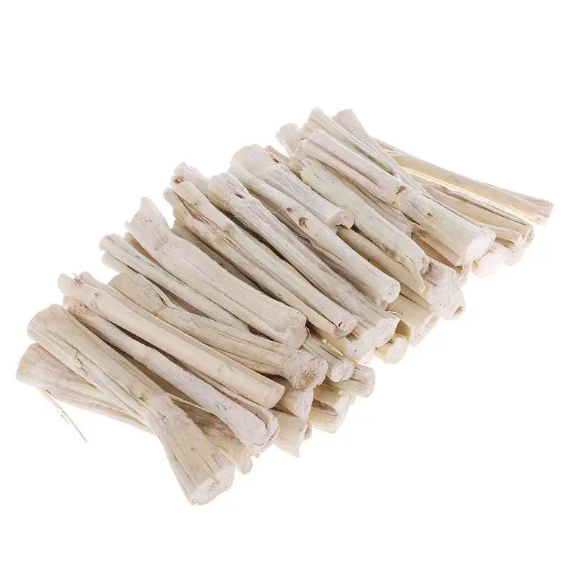 Sweet Bamboo Chew Sticks for Small Pets for hamsters, chinchillas, rabbits, and rats from Burrowly small pet supplies.