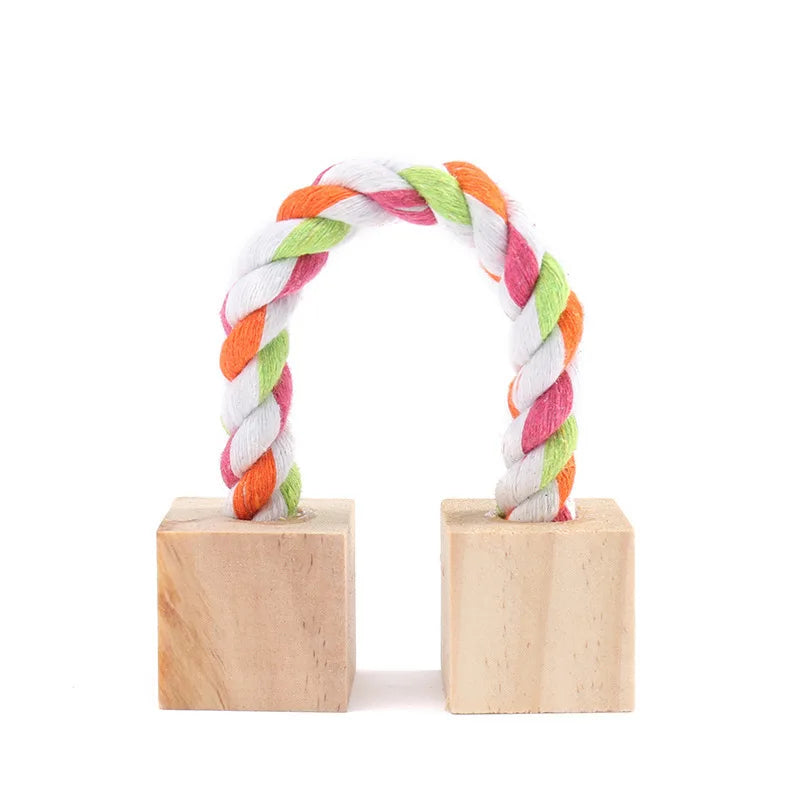 Small Pet Chew Toy Variety Set for guinea pigs, rabbits, hamsters, and rats from Burrowly small pet supplies.