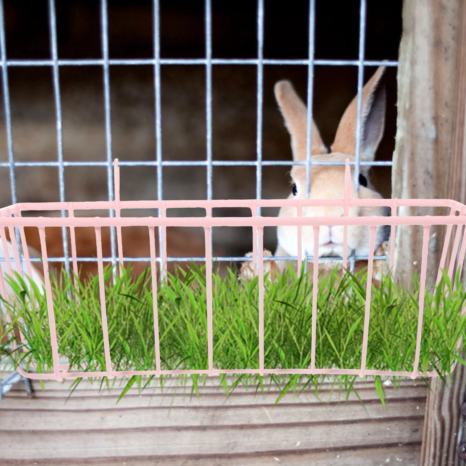 Hanging Hay Rack for Rabbits and Guinea Pigs