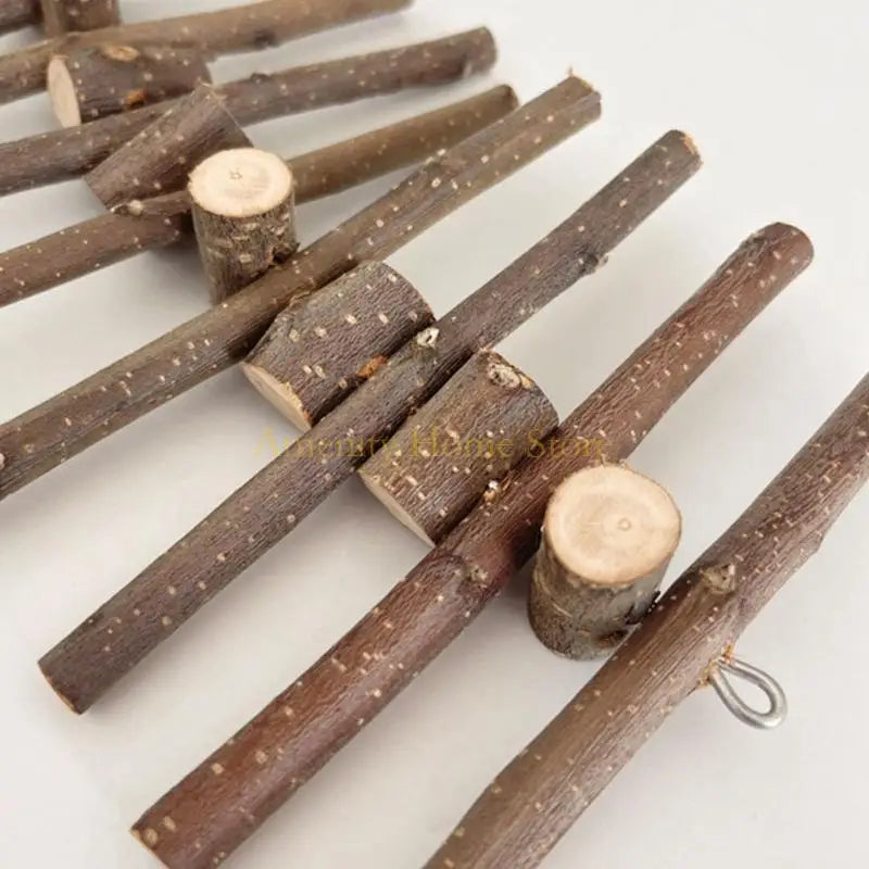 Natural Molar Chew Sticks for Hamsters and Rabbits for hamsters, rabbits, gerbils, and mice from Burrowly small pet supplies.