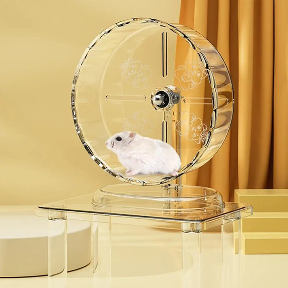 Transparent silent hamster wheel for daily exercise from Burrowly.