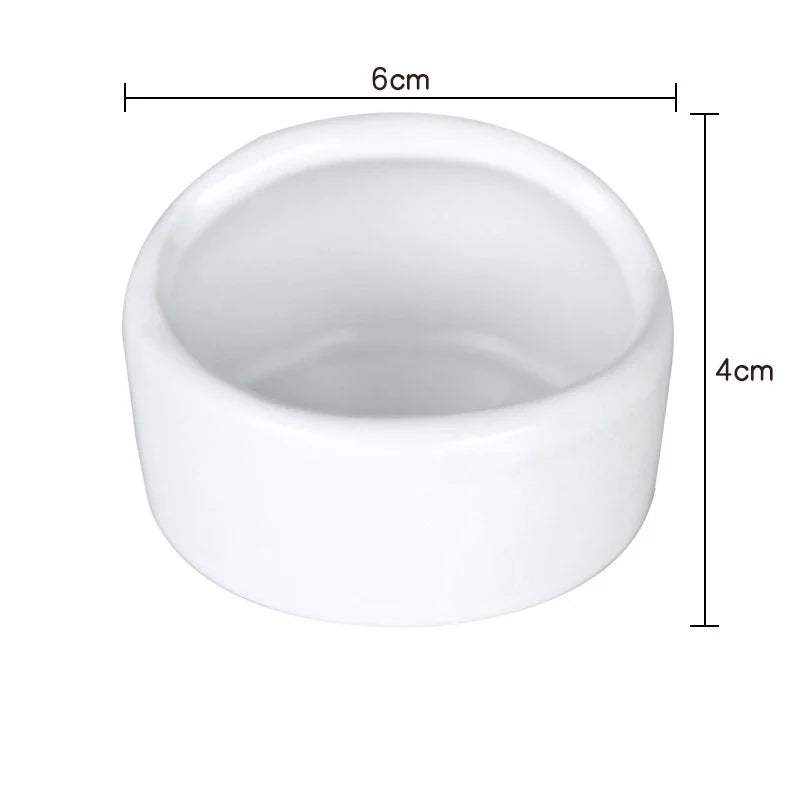 Anti-tip ceramic bowl for small pet feeding from Burrowly.