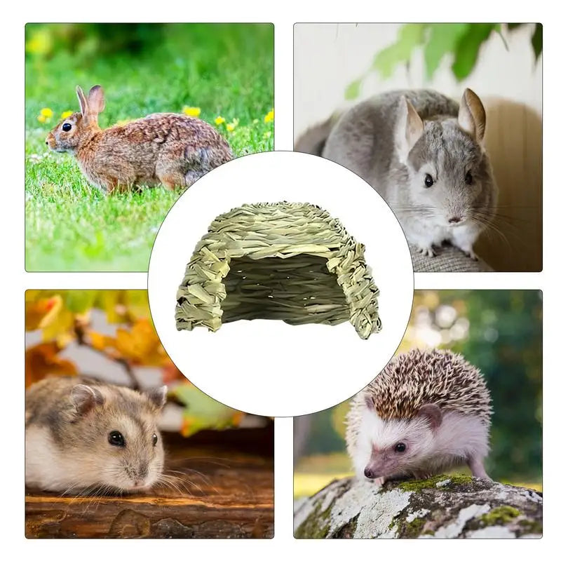 Foldable Grass Hideaway for Rabbits and Guinea Pigs for rabbits, guinea pigs, and chinchillas from Burrowly small pet supplies.