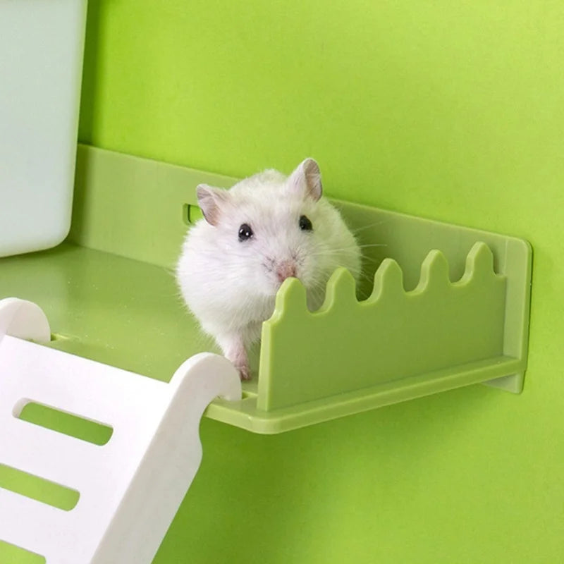 Hamster platform ladder set for small pet activity enrichment from Burrowly.