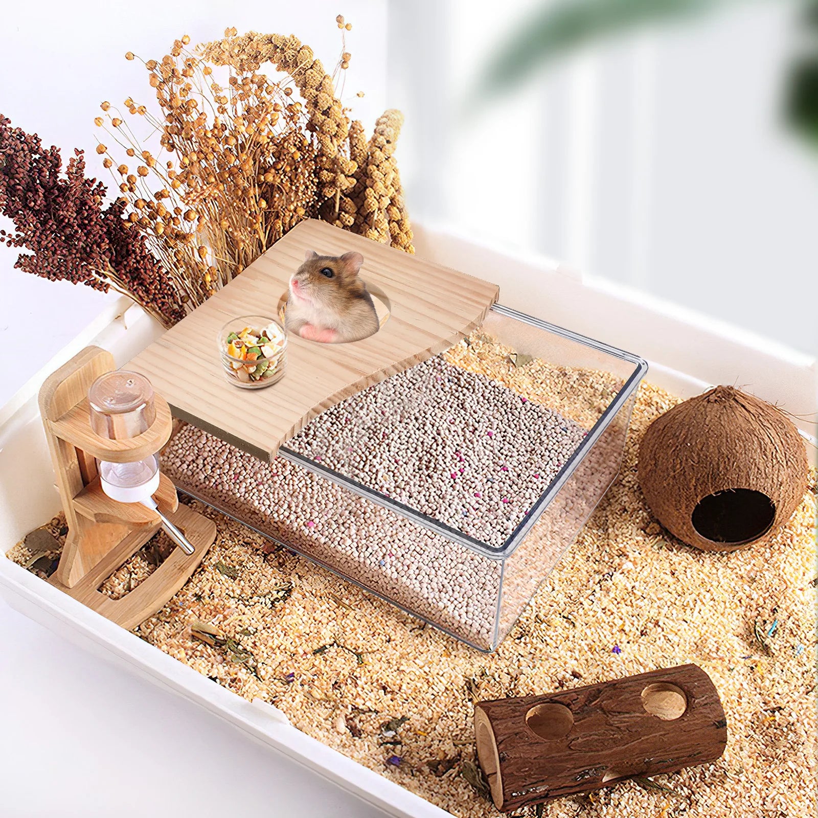 Clear Acrylic Sand Bath Box for Hamsters and Chinchillas for hamsters, gerbils, and chinchillas from Burrowly small pet supplies.
