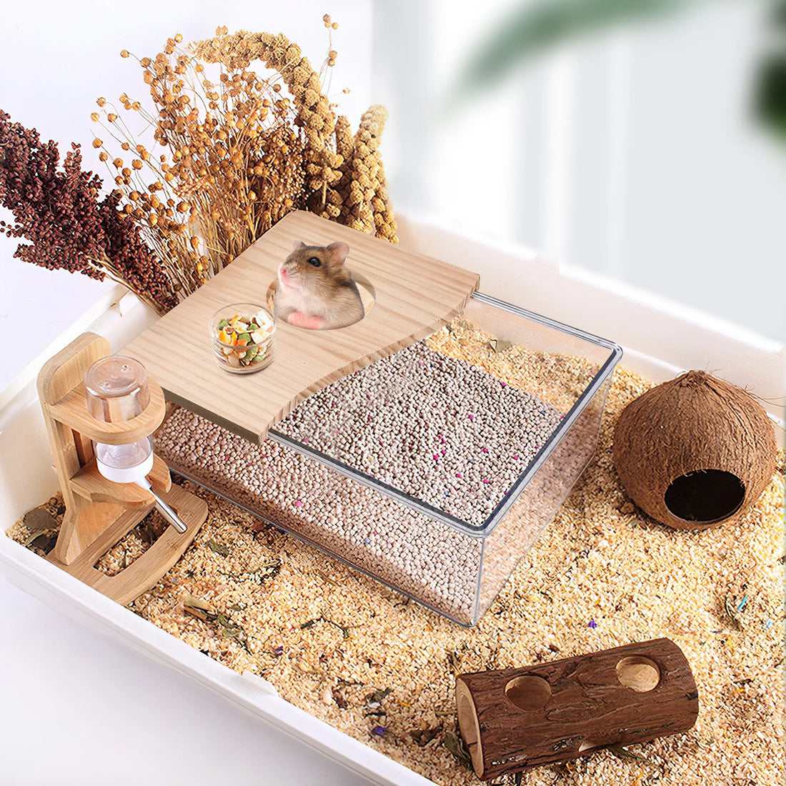 Clear Acrylic Sand Bath Box for Hamsters and Chinchillas for hamsters, gerbils, and chinchillas from Burrowly small pet supplies.