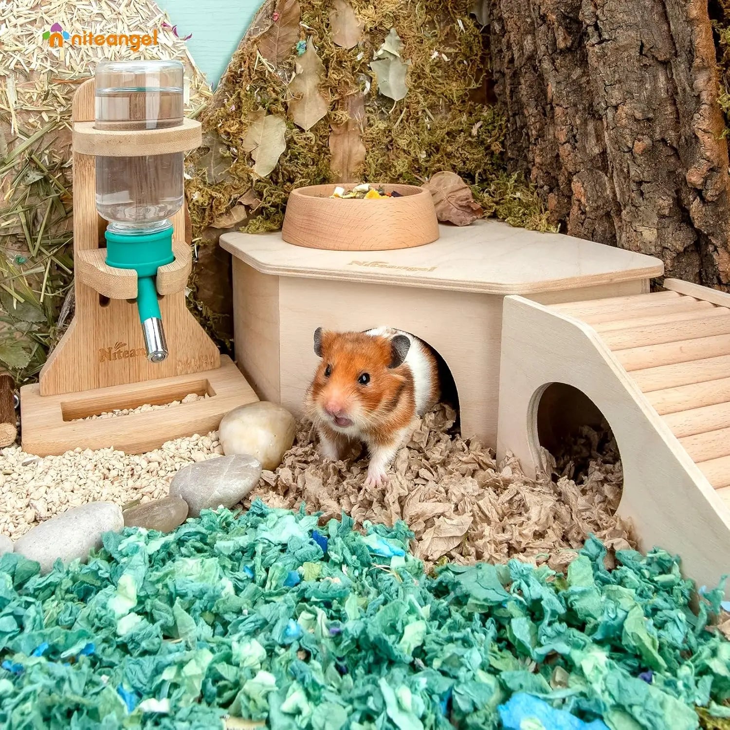 Birch Chamber-Maze Hamster Hideout - Woodland House Habitat for Hamsters, Mice, Gerbils