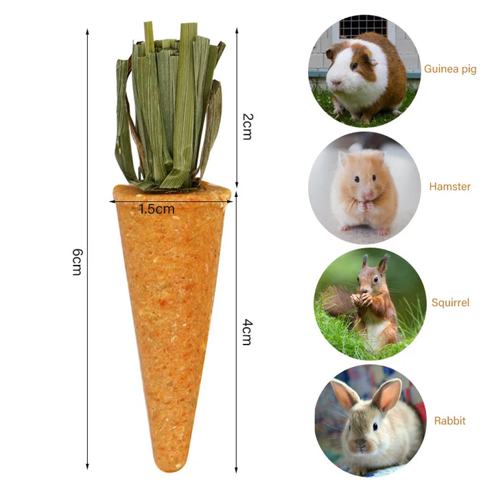 Small Animal Natural Chew Toy Set for rabbits, hamsters, guinea pigs, and chinchillas from Burrowly small pet supplies.