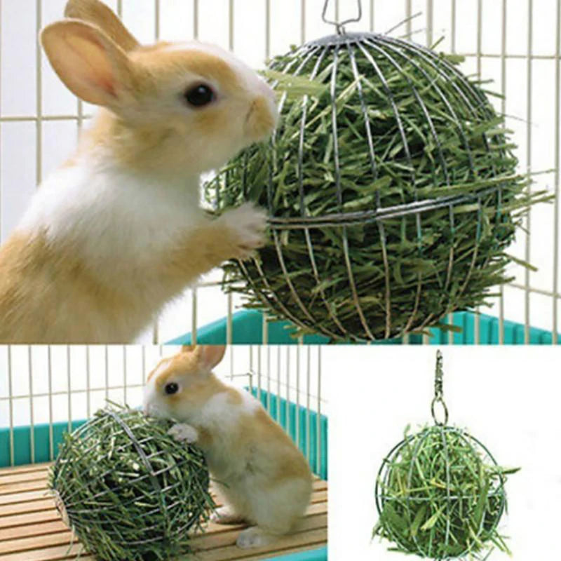 Hanging Hay Ball Feeder for Rabbits and Guinea Pigs for rabbits, guinea pigs, and chinchillas from Burrowly small pet supplies.
