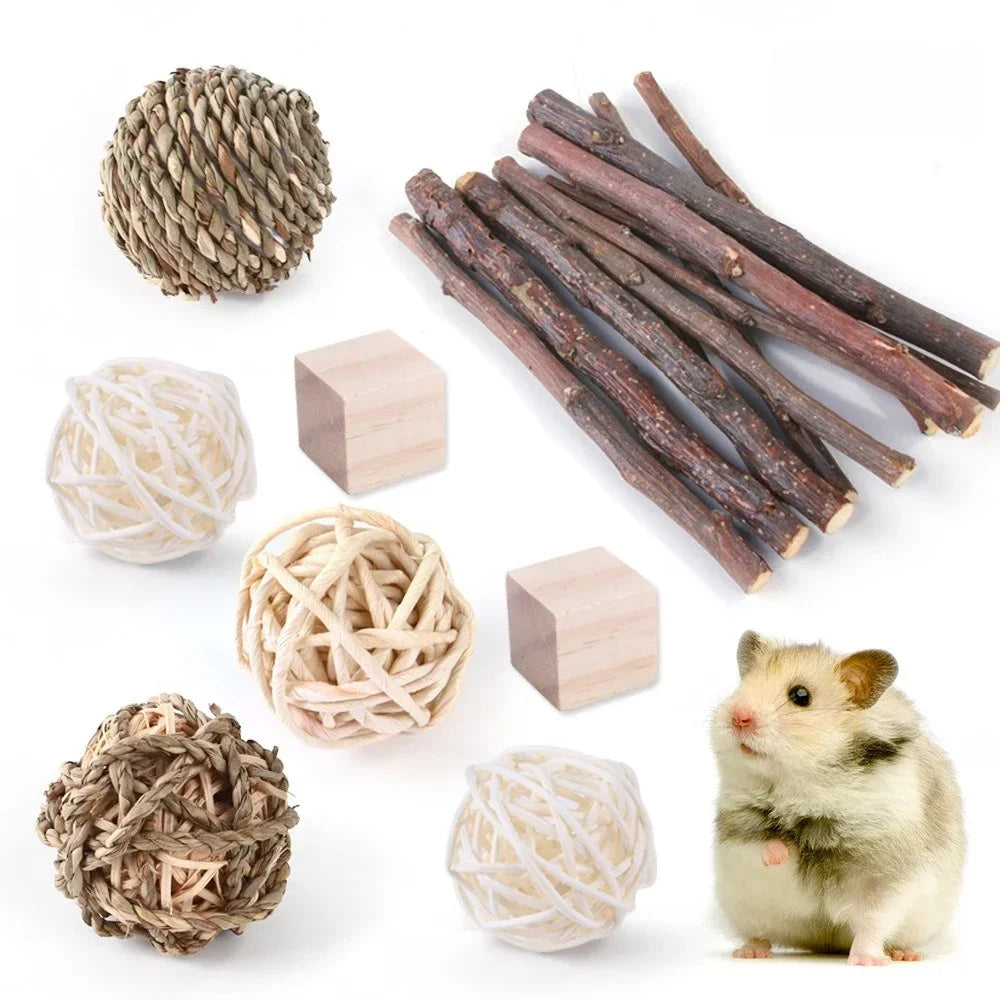 Hanging Grass and Wood Chew Toy Set for rabbits, guinea pigs, hamsters, and chinchillas from Burrowly small pet supplies.
