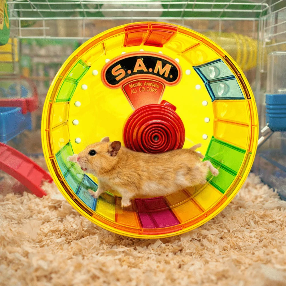 Super Silent Hamster Exercise Wheel Stable Base Bite Resistant Colorful