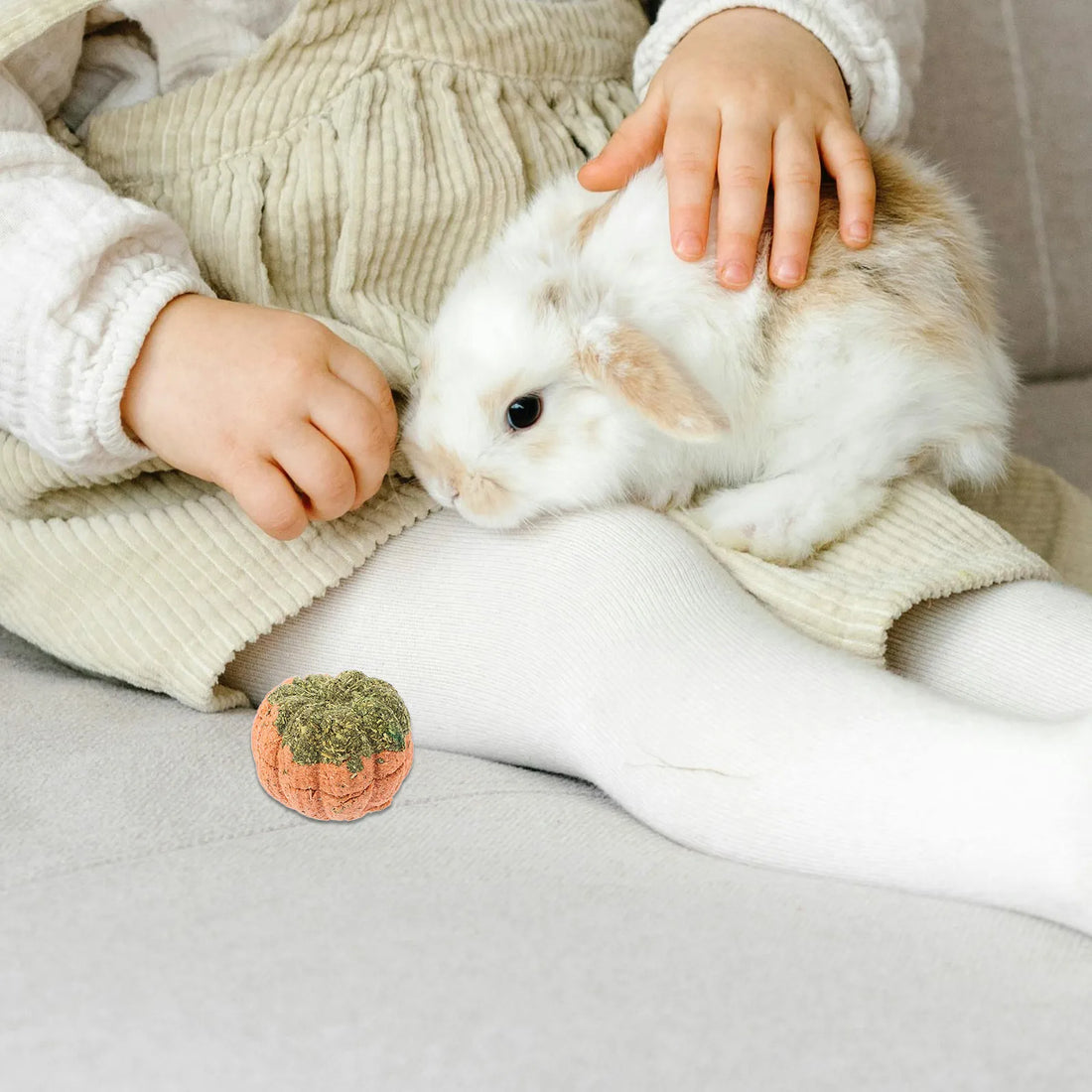 Rabbit Chew Snacks Small Animal Teeth Health Molar Snack Cage Accessories Hamster Guinea Pig Chinchilla Gerbil Entertainment