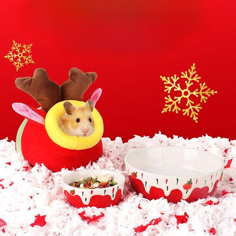 Anti-Rollover Ceramic Food Bowl for Small Pets
