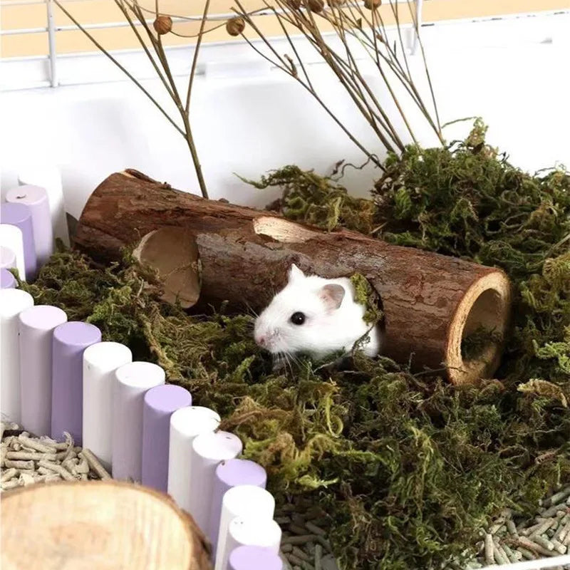 Natural Pet Toy Grinding Cleaning Chew Toy Small Pets Toys for Hamster