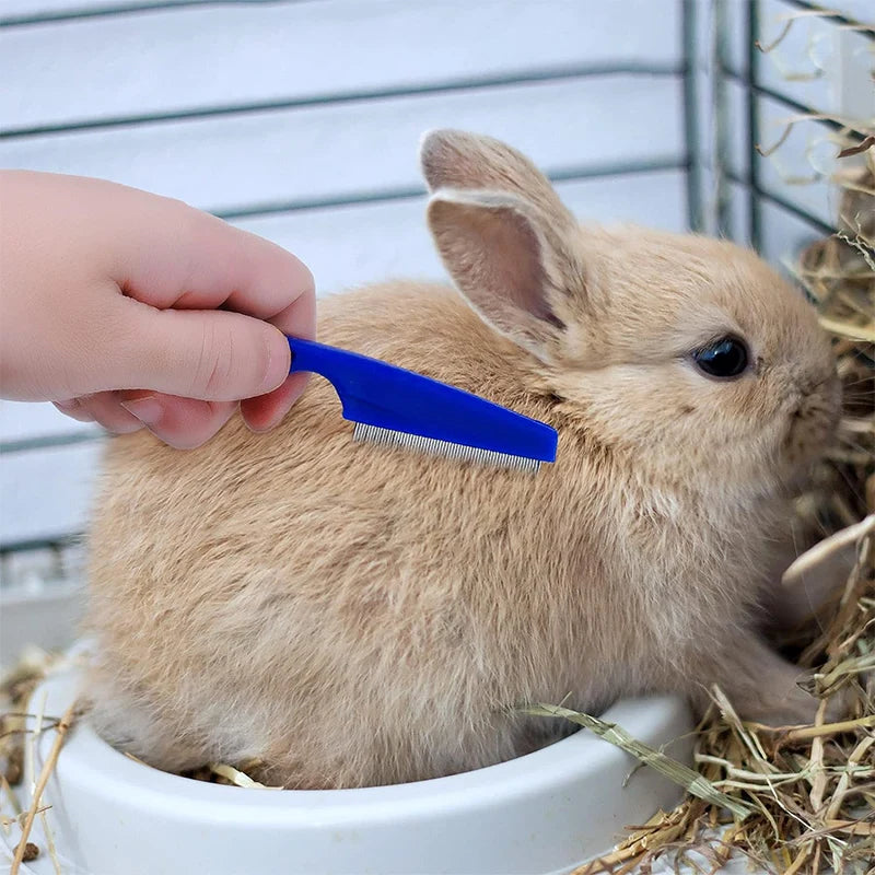 Small pet grooming and nail care kit for rabbits and guinea pigs from Burrowly.