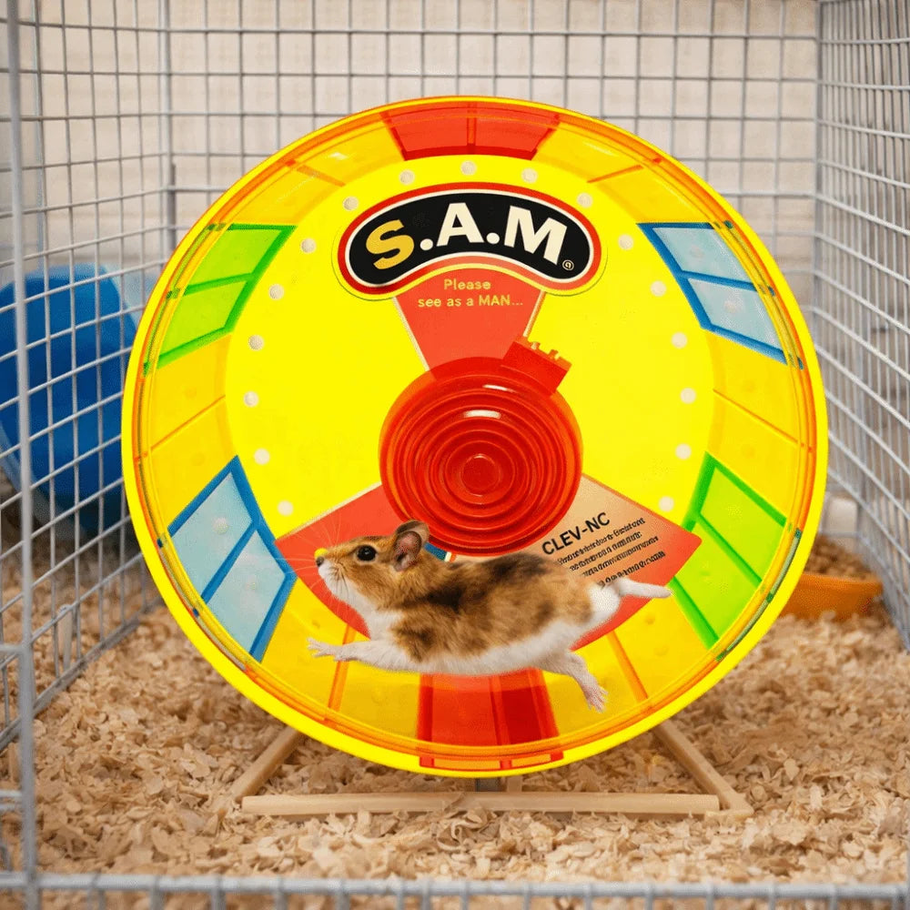 Super Silent Hamster Exercise Wheel Stable Base Bite Resistant Colorful