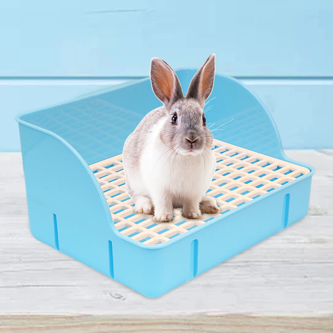 Rabbit Corner Litter Box with Splash Guard for rabbits, chinchillas, and rats from Burrowly small pet supplies.
