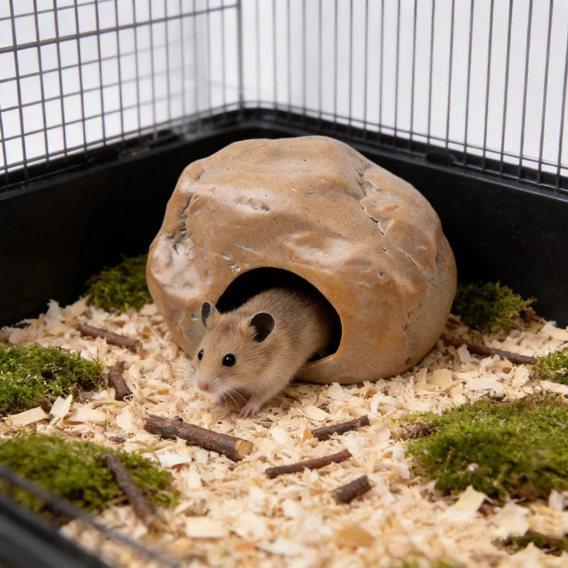 Ceramic Stone Hideout for Hamsters for hamsters, mice, and gerbils from Burrowly small pet supplies.