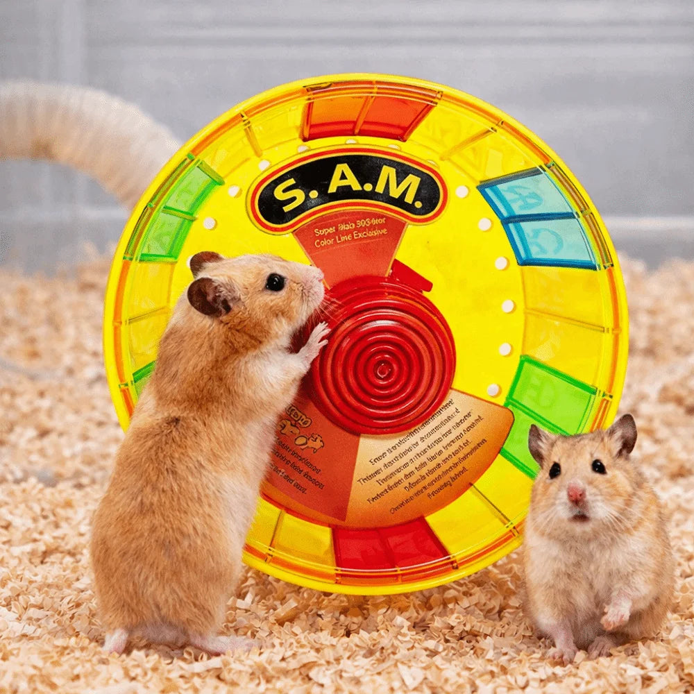 Super Silent Hamster Exercise Wheel Stable Base Bite Resistant Colorful