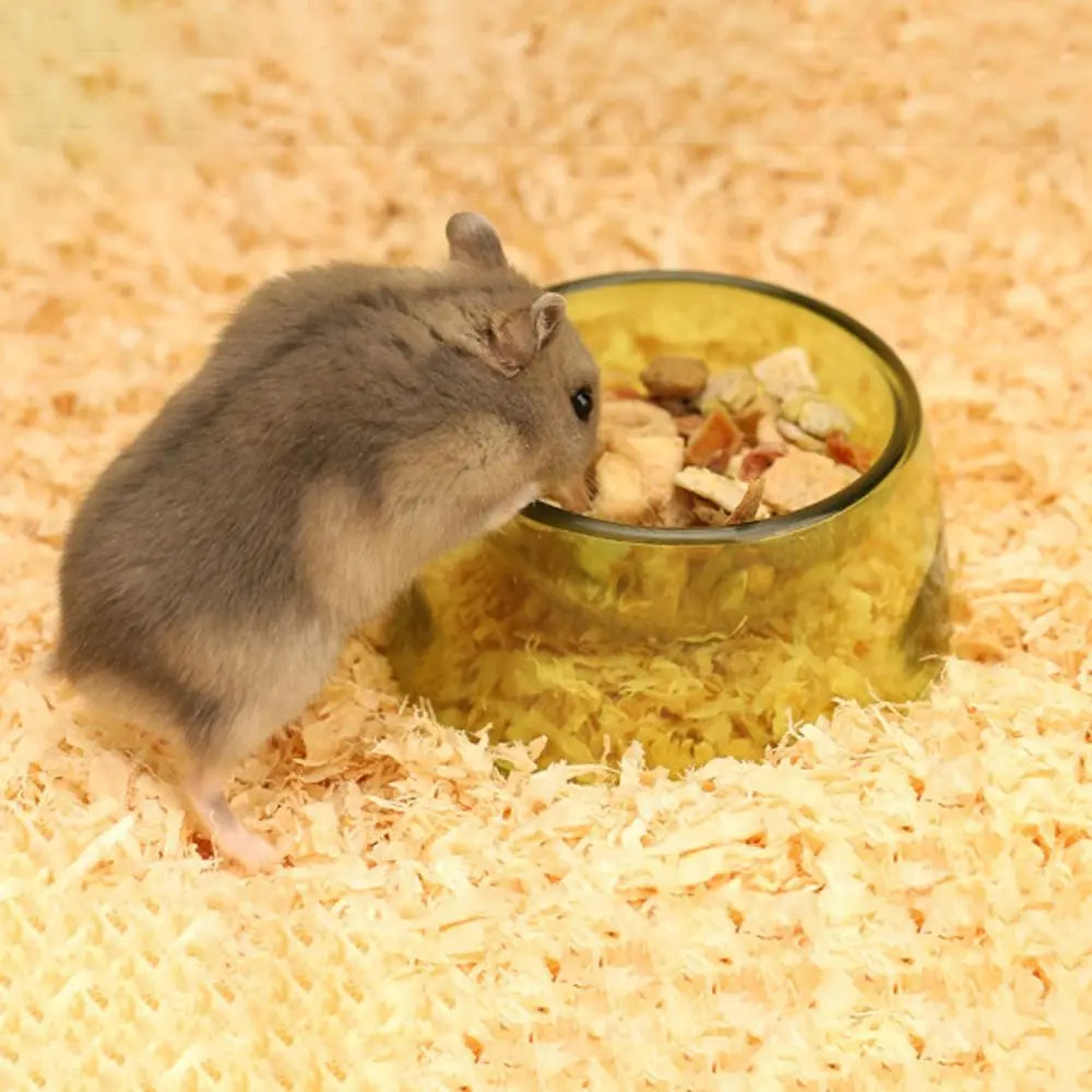 Bite Resistant Hamster Food Basin Non-slip Plastic Rat Food Water Dish Transparent Hamster Water Bowl