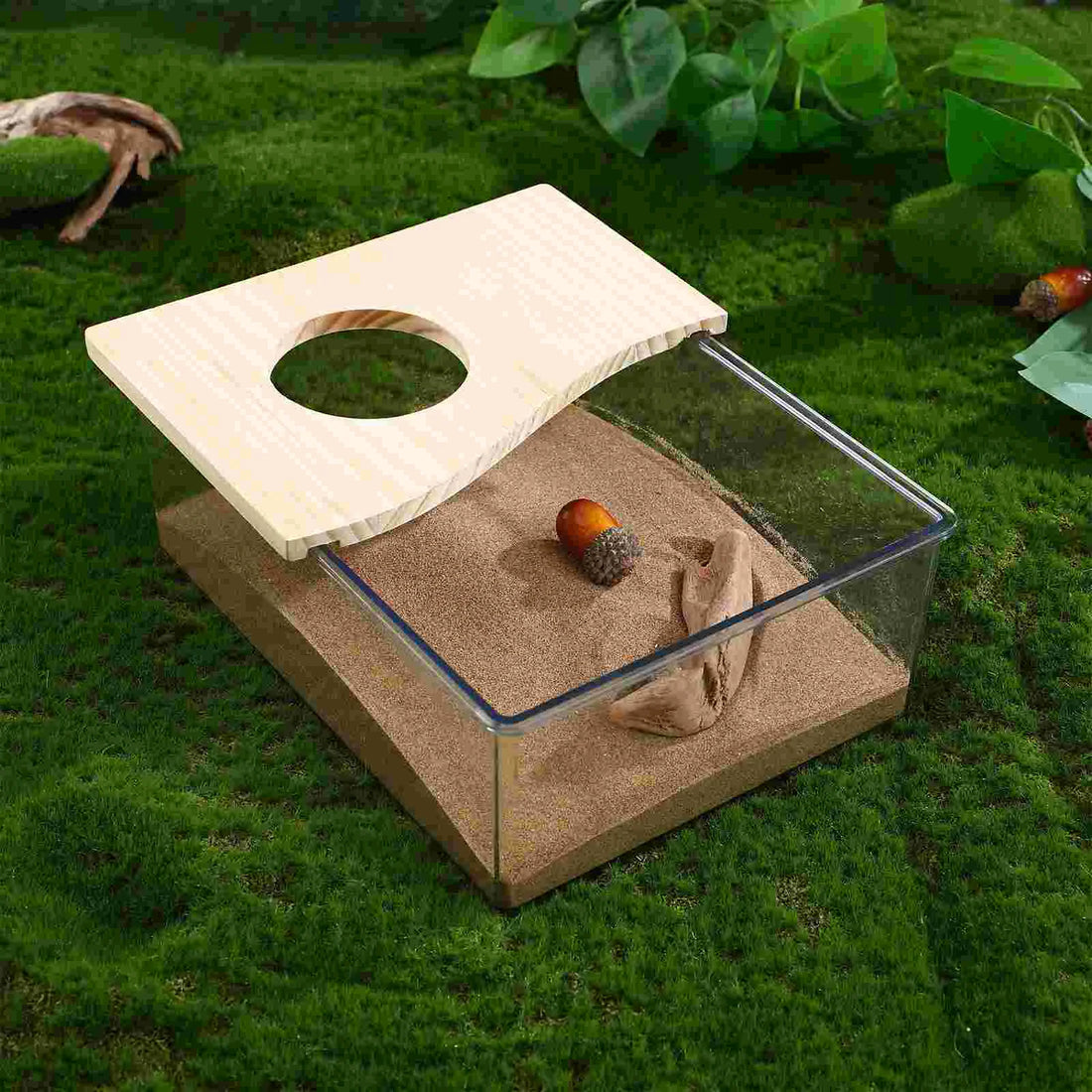 Clear Acrylic Sand Bath Box for Hamsters and Chinchillas for hamsters, gerbils, and chinchillas from Burrowly small pet supplies.