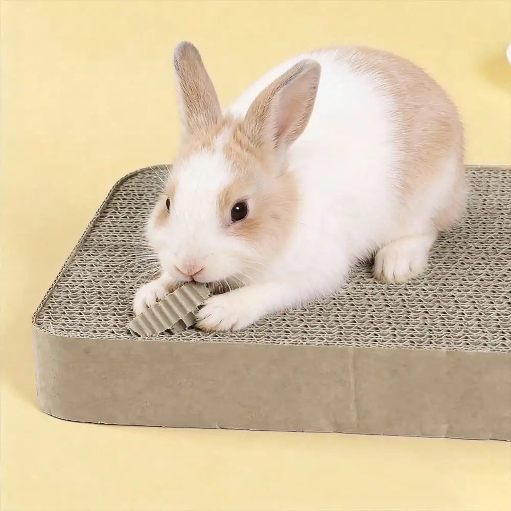 Corrugated Cardboard Bird Scratching Board Parrot Nibbling Toy Rabbit Chew Block Budgie Cockatiel Molar Small Animals Cage Decor