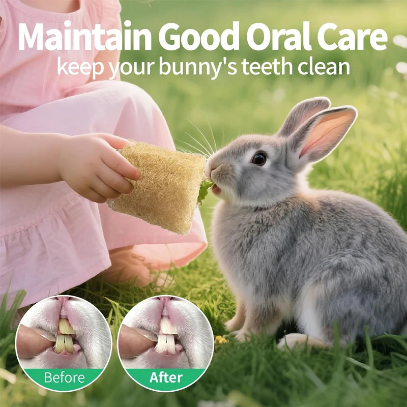 2pcs Rabbit Chew Toys Natural Loofah Bunny Chew Toys for Teeth Cleaning