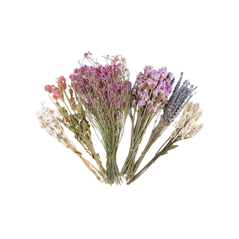 Handcrafted Hamster Cage Decors Dried Flower Bedding Promotes Natural Foraging Behavior Y5GB