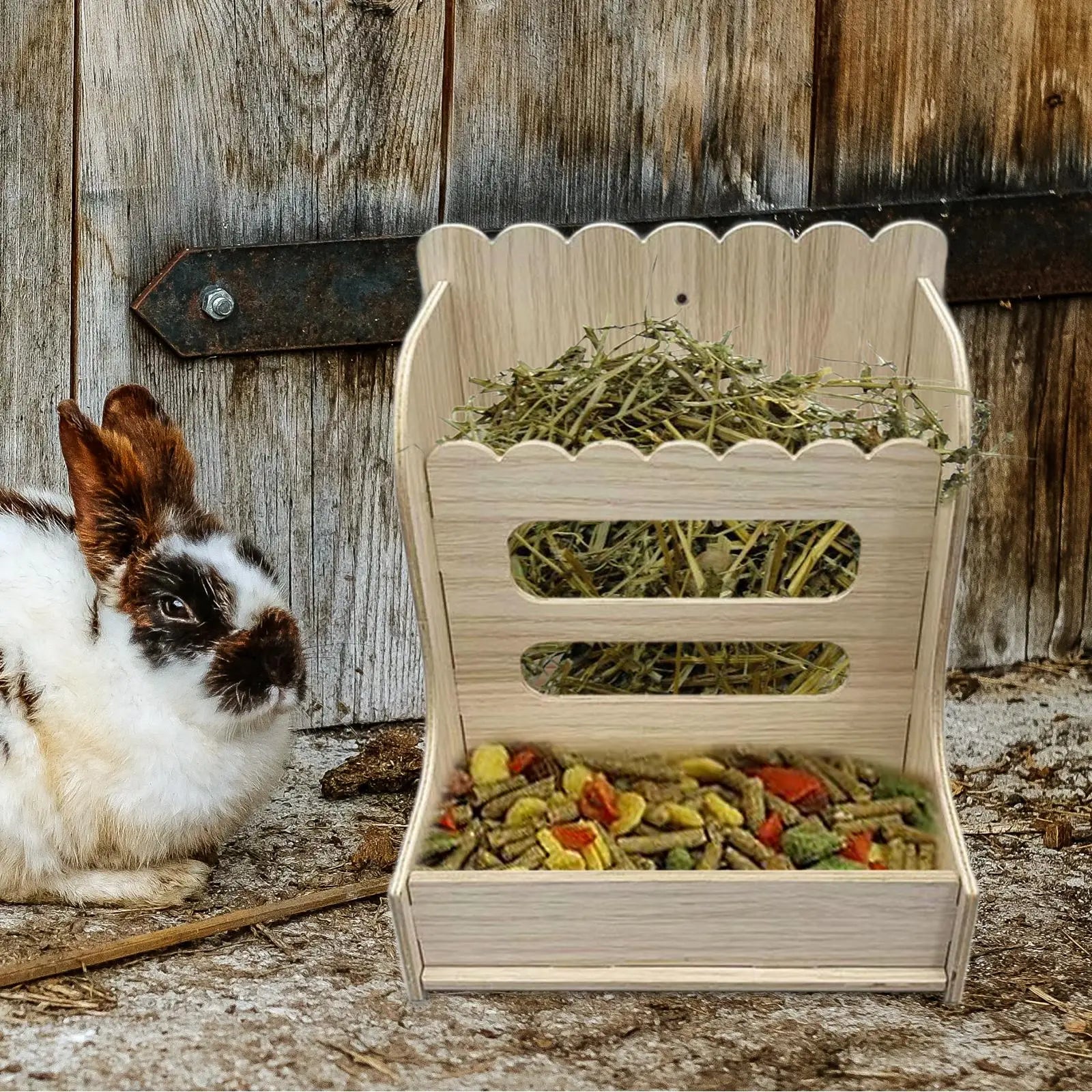 Wooden grass holder for guinea pig and rabbit forage from Burrowly.