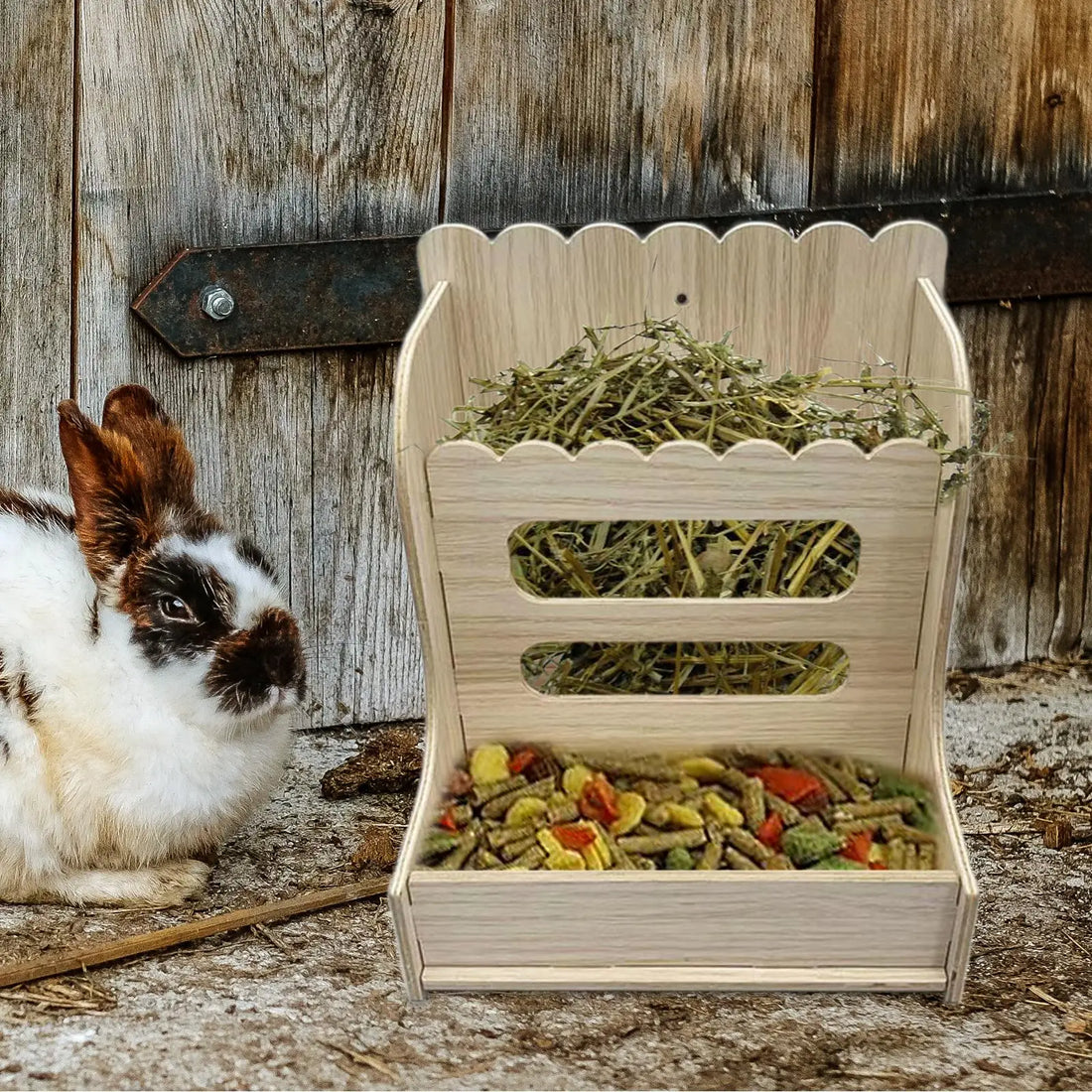 Wooden grass holder for guinea pig and rabbit forage from Burrowly.