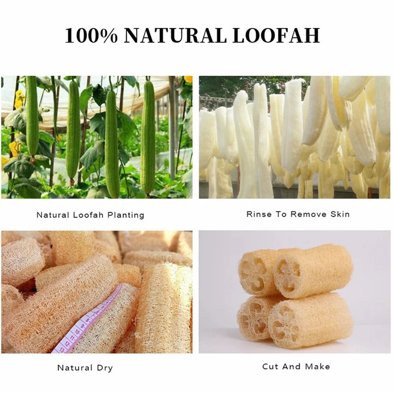2pcs Rabbit Chew Toys Natural Loofah Bunny Chew Toys for Teeth Cleaning