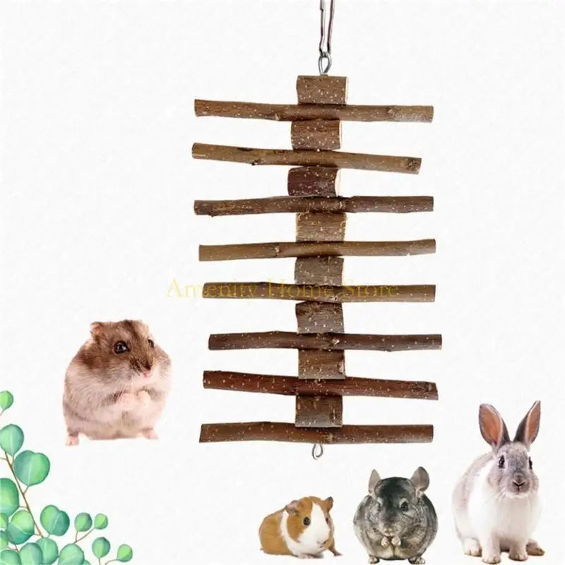 Natural Molar Chew Sticks for Hamsters and Rabbits for hamsters, rabbits, gerbils, and mice from Burrowly small pet supplies.