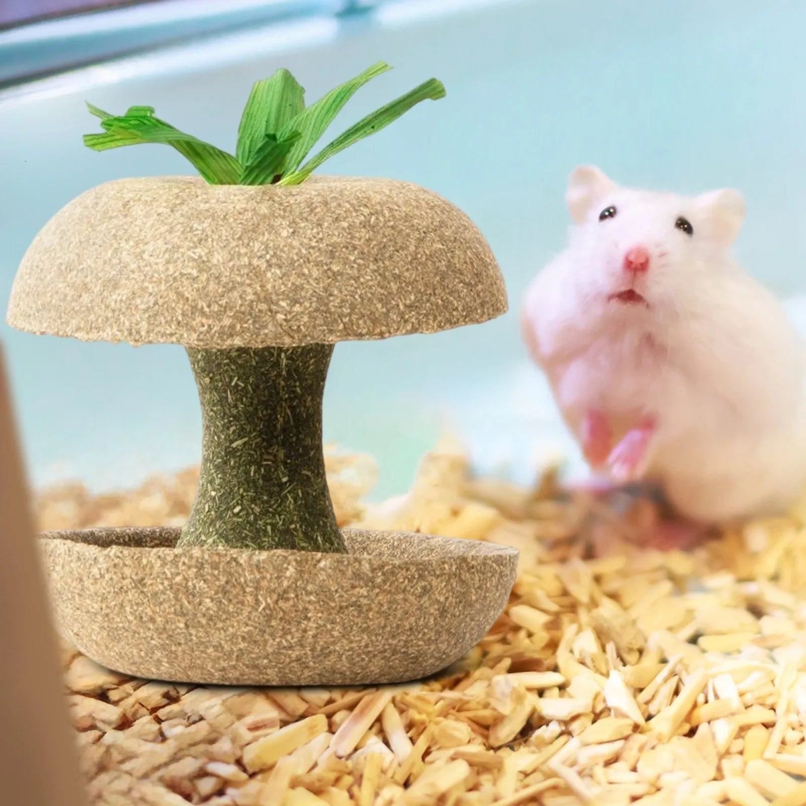 Hamster Chew Toys for Teeth Guinea Pig Chew Toys for Teeth Food Chews