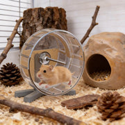 Ceramic Stone Hideout for Hamsters for hamsters, mice, and gerbils from Burrowly small pet supplies.