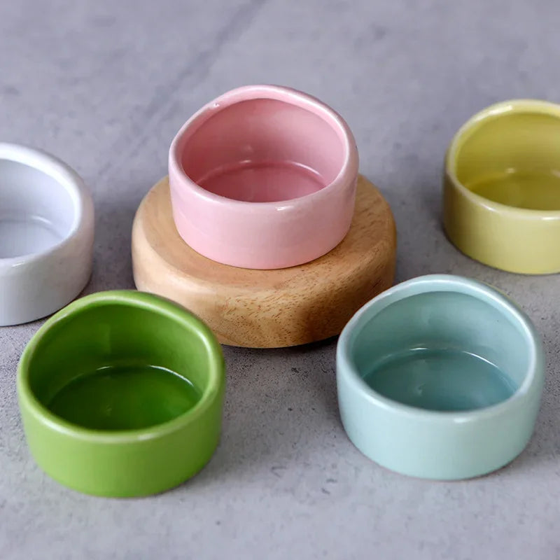 Anti-tip ceramic bowl for small pet feeding from Burrowly.