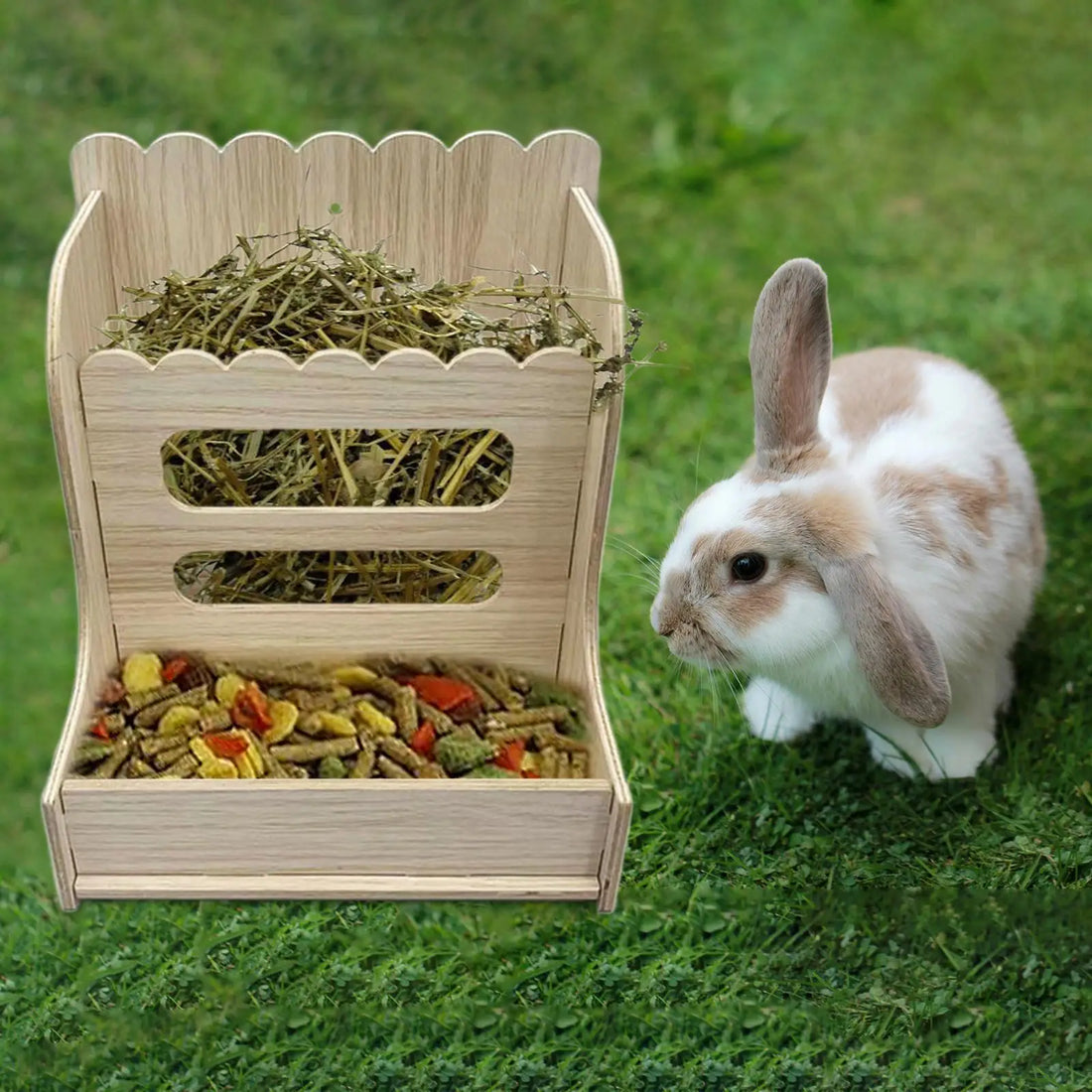Wooden Grass Holder for Guinea Pigs