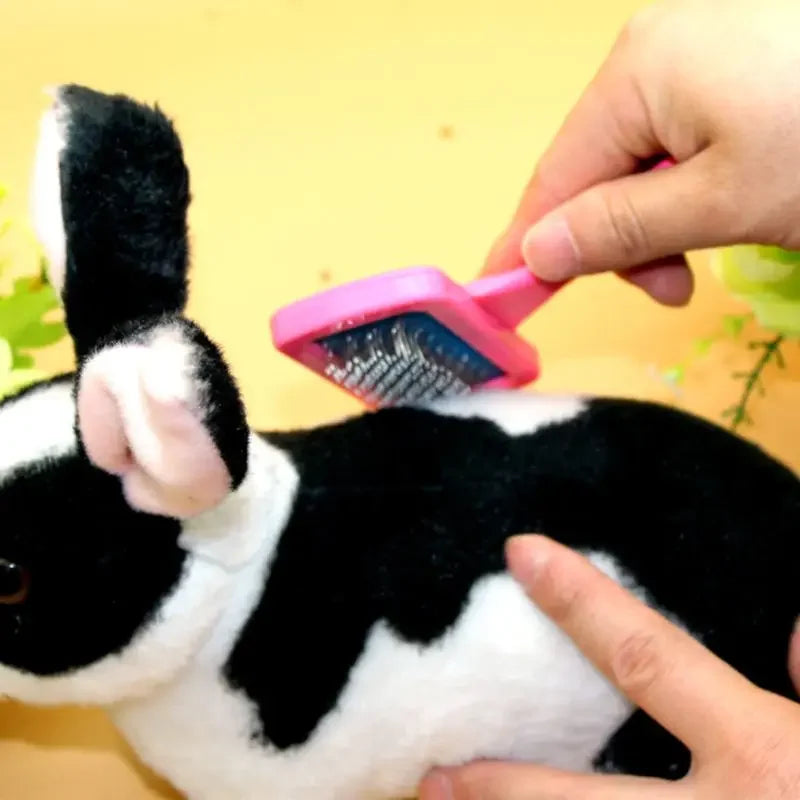 Two in one small pet grooming brush for rabbit and guinea pig coat care from Burrowly.