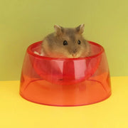Bite Resistant Hamster Food Basin Non-slip Plastic Rat Food Water Dish Transparent Hamster Water Bowl