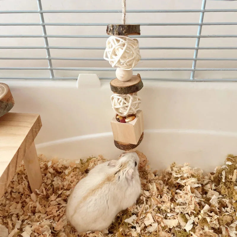 Wooden Foraging Snack Box for Hamsters for hamsters, gerbils, and mice from Burrowly small pet supplies.