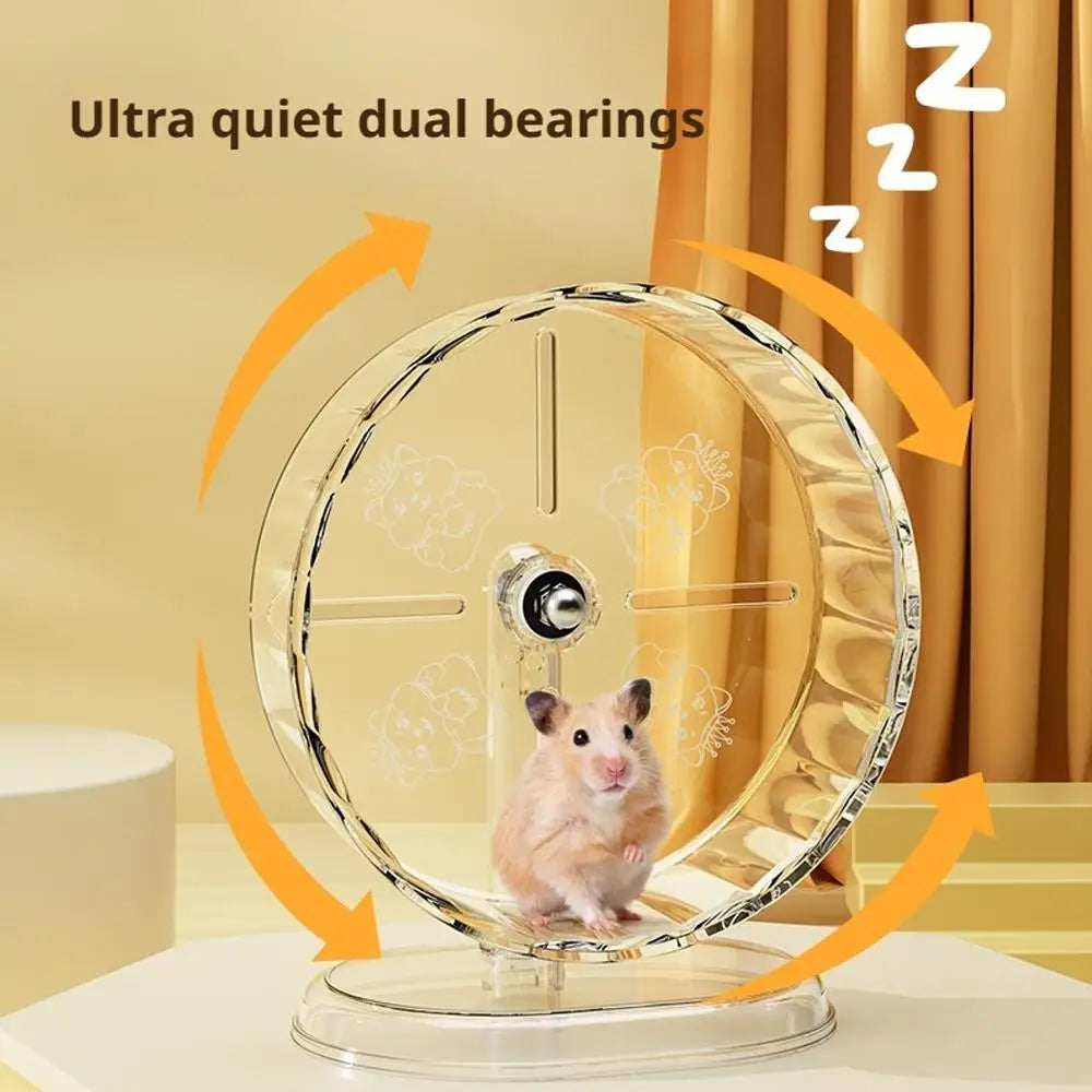 Transparent silent hamster wheel for daily exercise from Burrowly.