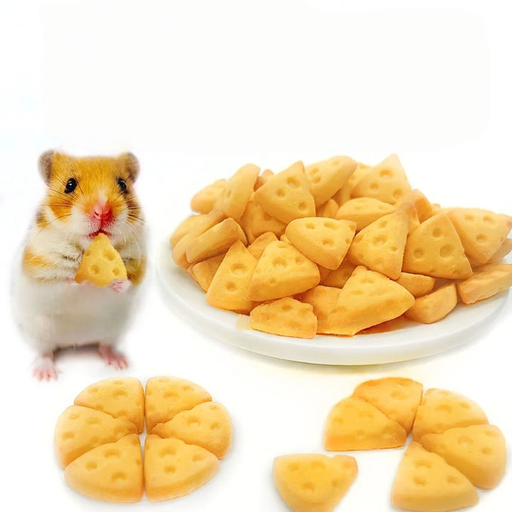 Cheese-Style Hamster Treat Biscuits for hamsters, gerbils, and mice from Burrowly small pet supplies.