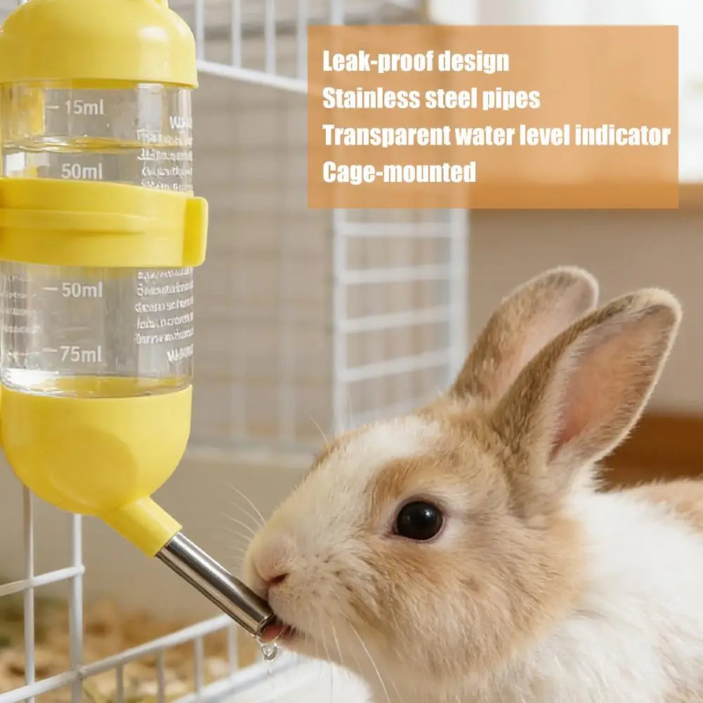 Hanging small animal water bottle for hamster and rabbit hydration from Burrowly.