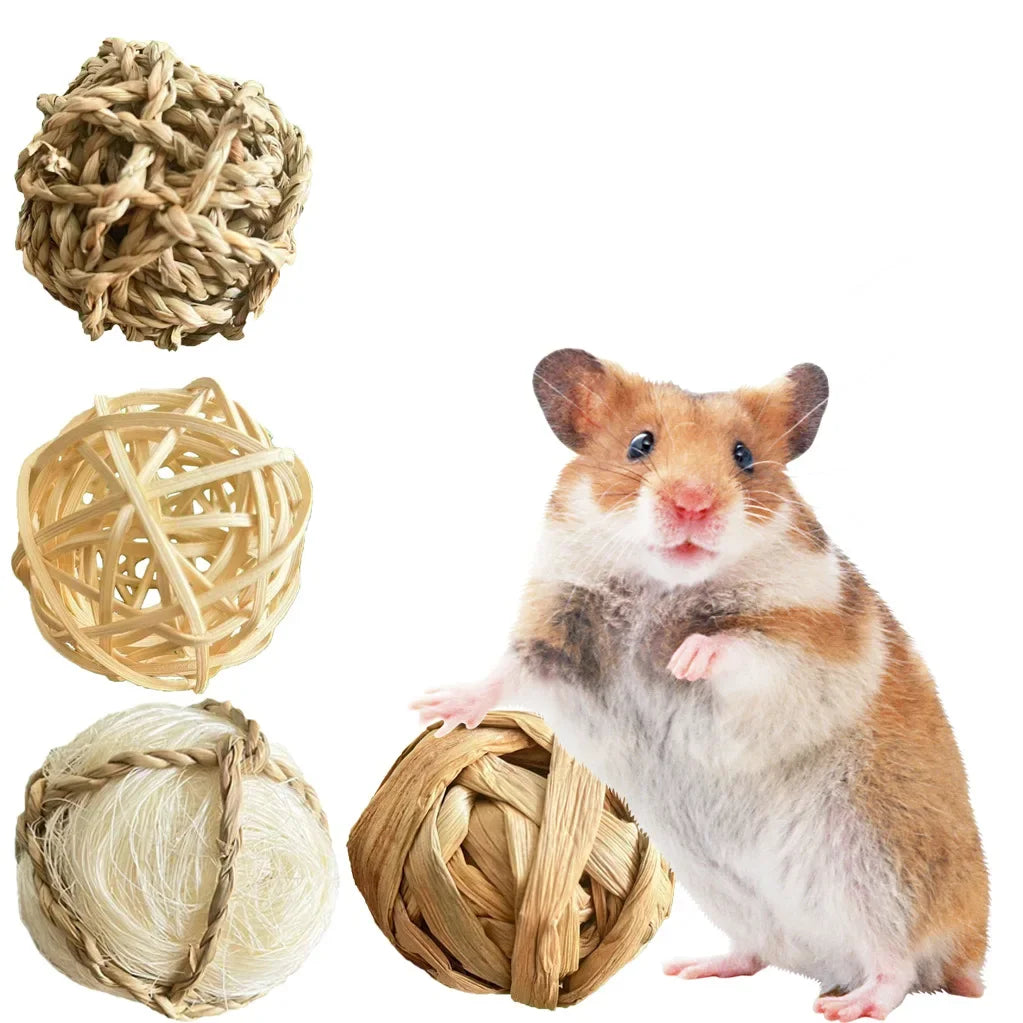 Hanging Grass and Wood Chew Toy Set for rabbits, guinea pigs, hamsters, and chinchillas from Burrowly small pet supplies.