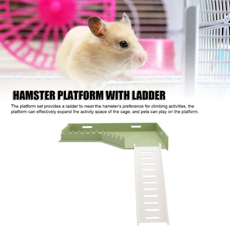 Hamster platform ladder set for small pet activity enrichment from Burrowly.